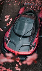 Preview wallpaper sports car, car, aerial view, flowers