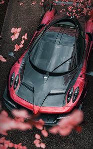 Preview wallpaper sports car, car, aerial view, flowers