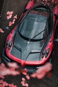 Preview wallpaper sports car, car, aerial view, flowers