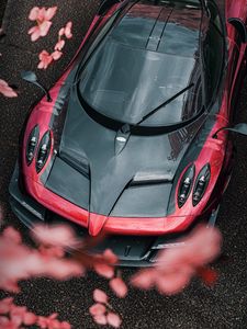 Preview wallpaper sports car, car, aerial view, flowers