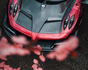 Preview wallpaper sports car, car, aerial view, flowers