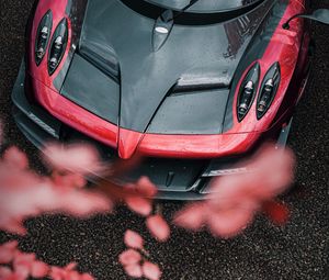 Preview wallpaper sports car, car, aerial view, flowers