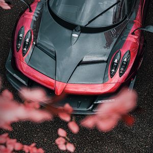 Preview wallpaper sports car, car, aerial view, flowers