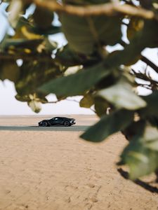 Preview wallpaper sports car, car, sand, branches, leaves