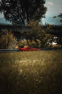 Preview wallpaper sports car, car, side view, spoiler, red