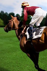Preview wallpaper sports, equestrian, horse, rider