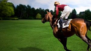 Preview wallpaper sports, equestrian, horse, rider