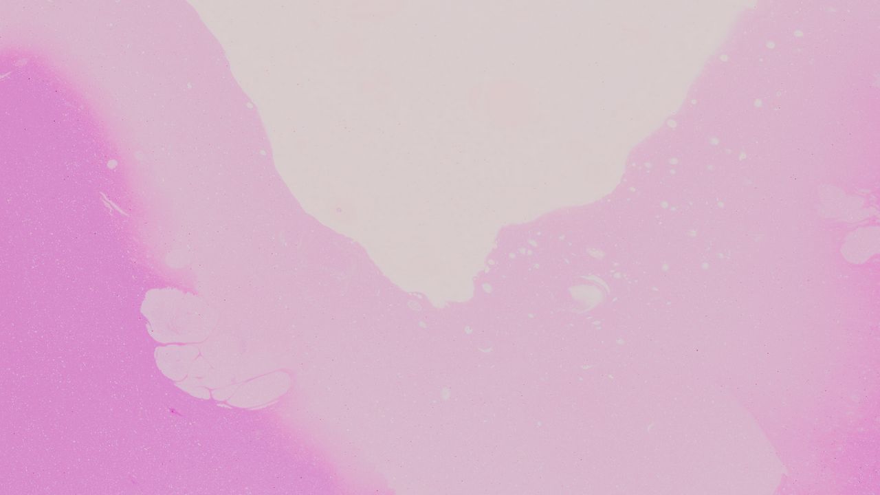 Wallpaper spots, abstraction, purple