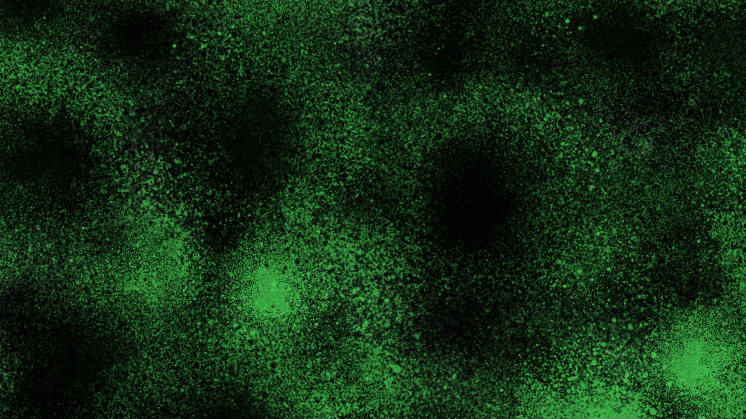 Фото черного пятна. Темно зеленый фон. Черно зеленый фон. Темно зеленые обои. Черно зеленый фон для фотошопа.