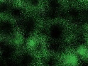 Preview wallpaper spots, black, green, dots