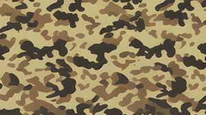 Preview wallpaper spots, camouflage, background, art, abstraction