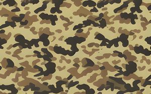 Preview wallpaper spots, camouflage, background, art, abstraction
