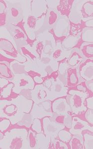 Preview wallpaper spots, circles, stains, abstraction