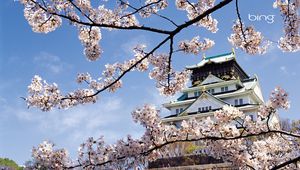 Preview wallpaper spring, cherry, blossom, palace, japan, architecture