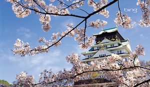 Preview wallpaper spring, cherry, blossom, palace, japan, architecture