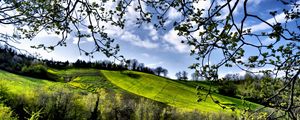 Preview wallpaper spring, fields, trees, greenery