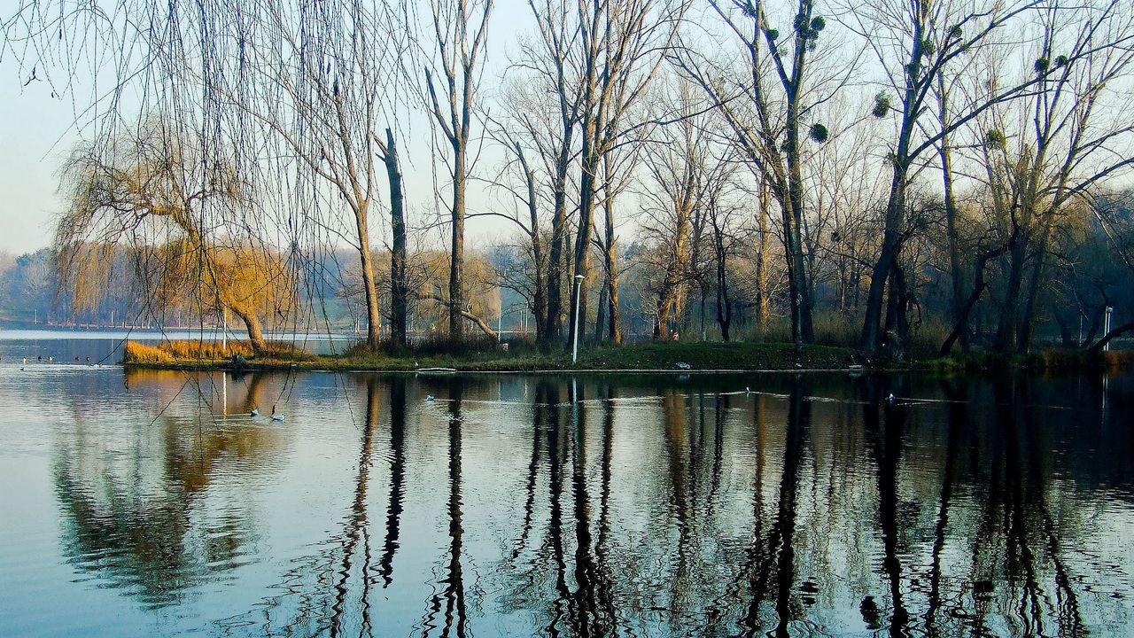 Wallpaper spring, park, trees, water, lake