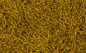 Preview wallpaper sprouts, plant, texture, yellow