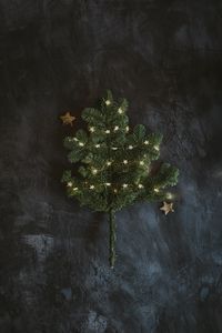 Preview wallpaper spruce, branch, garland, new year, christmas