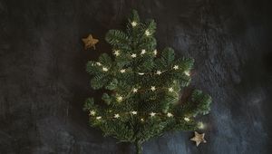 Preview wallpaper spruce, branch, garland, new year, christmas