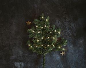 Preview wallpaper spruce, branch, garland, new year, christmas