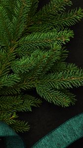 Preview wallpaper spruce, branch, green, needles