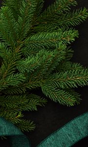 Preview wallpaper spruce, branch, green, needles