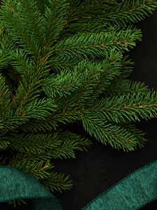 Preview wallpaper spruce, branch, green, needles