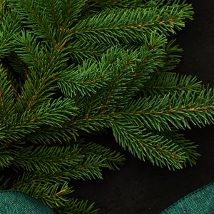 Preview wallpaper spruce, branch, green, needles