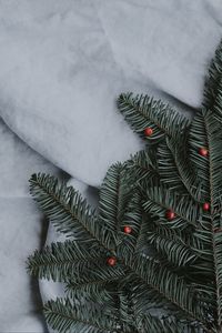 Preview wallpaper spruce, branch, rowan, winter, texture