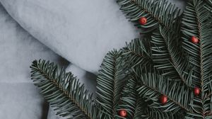 Preview wallpaper spruce, branch, rowan, winter, texture