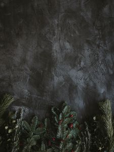 Preview wallpaper spruce, branches, berries, texture, grunge