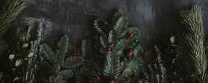 Preview wallpaper spruce, branches, berries, texture, grunge