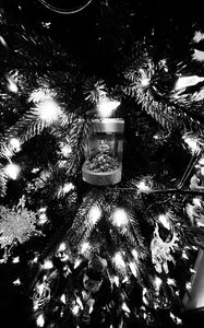 Preview wallpaper spruce, branches, decorations, garland, black and white