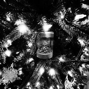 Preview wallpaper spruce, branches, decorations, garland, black and white