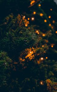 Preview wallpaper spruce, branches, garland, lights, glare