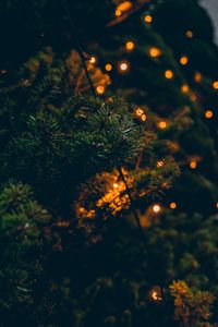Preview wallpaper spruce, branches, garland, lights, glare