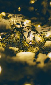 Preview wallpaper spruce, branches, garland, snow, light