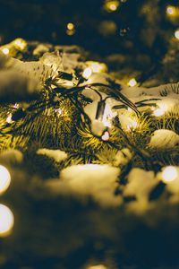 Preview wallpaper spruce, branches, garland, snow, light