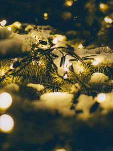 Preview wallpaper spruce, branches, garland, snow, light