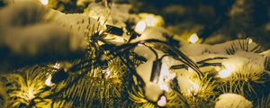 Preview wallpaper spruce, branches, garland, snow, light