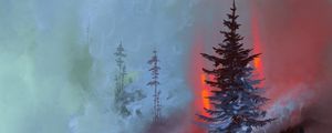Preview wallpaper spruce, cliff, roots, paint, art