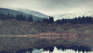 Preview wallpaper spruce, forest, fog, lake, slope