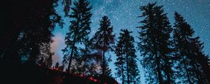 Preview wallpaper spruce, forest, trees, starry sky, stars