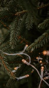 Preview wallpaper spruce, garland, branches, christmas, new year, holiday
