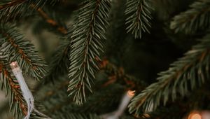 Preview wallpaper spruce, garland, branches, christmas, new year, holiday