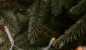 Preview wallpaper spruce, garland, branches, christmas, new year, holiday