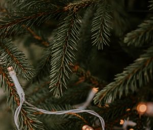 Preview wallpaper spruce, garland, branches, christmas, new year, holiday