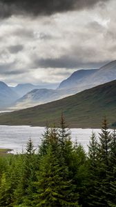 Preview wallpaper spruce, lake, slope, hills, clouds