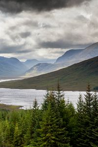 Preview wallpaper spruce, lake, slope, hills, clouds